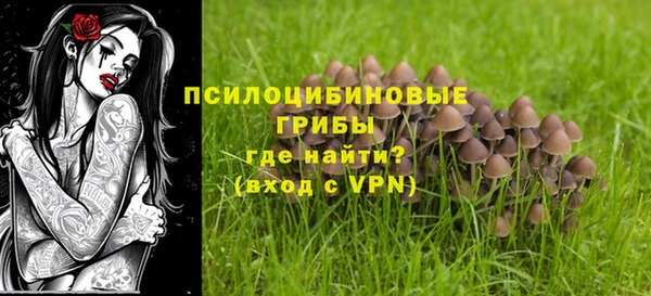 твердый Алексин