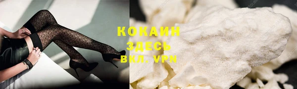 твердый Алексин