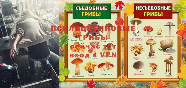 твердый Алексин