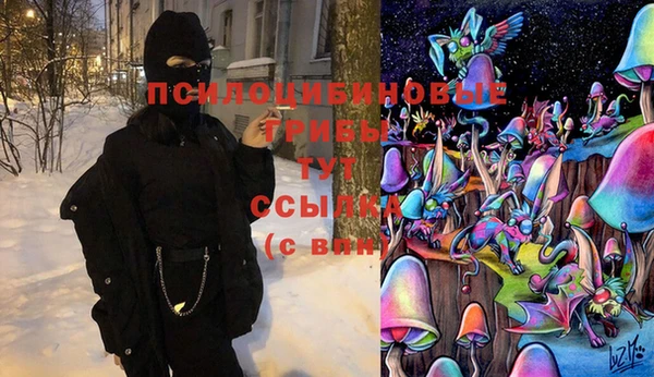 твердый Алексин