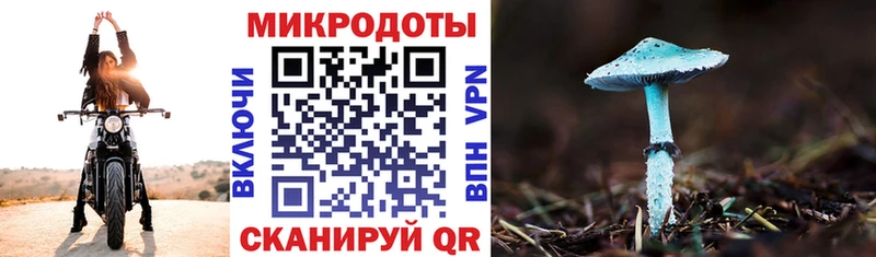shop формула  Сурск  Галлюциногенные грибы GOLDEN TEACHER 