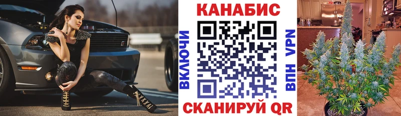 Канабис сатива  Сурск 